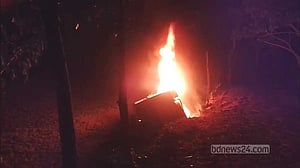 গোপালগঞ্জে গরু চুরি করে পালানোর সময় খাদে পড়ে পিকআপে আগুন
