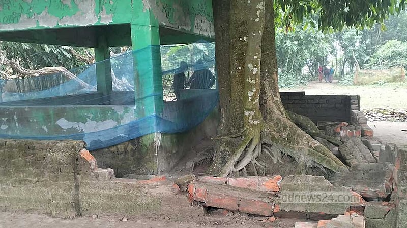 ময়মনসিংহে মাজার ভাঙচুর ও মল-মূত্র নিক্ষেপের ঘটনায় মামলা