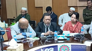 বুদ্ধিজীবীদের ‘পার্শ্ববর্তী দেশের’ লোকজন হত্যা করেছে, বললেন বিএনপি নেতাও