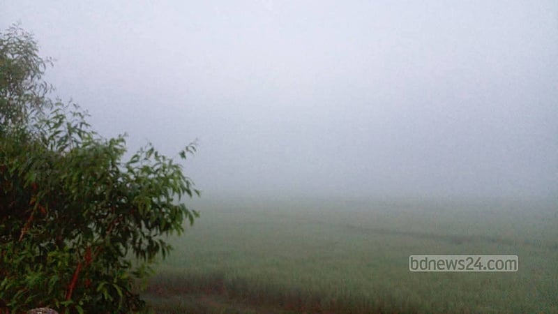 হিমেল হাওয়ায় কাঁপছে পঞ্চগড়
