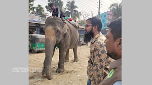 বরিশালে হাতি দিয়ে চাঁদাবাজি, মাহুতকে জরিমানা
