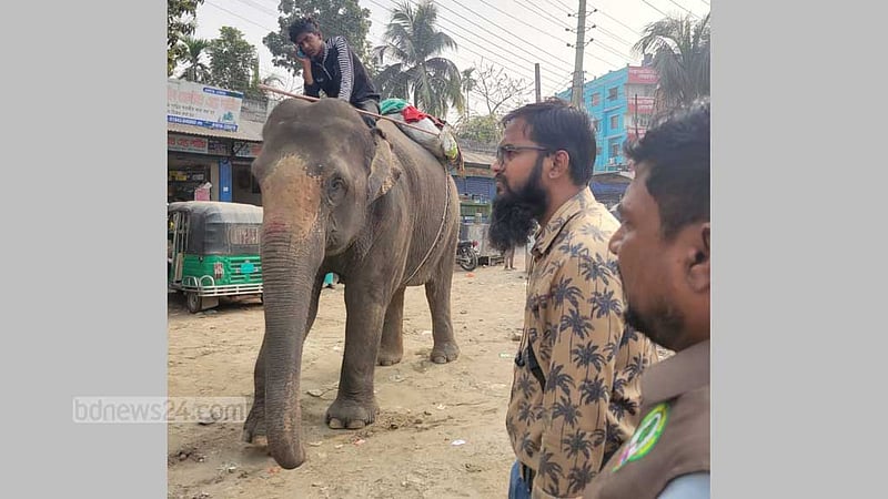 বরিশালে হাতি দিয়ে চাঁদাবাজি, মাহুতকে জরিমানা