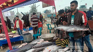 বগুড়ার মেলায় ২৬ কেজির কাতলা, ১২ কেজির মিষ্টি