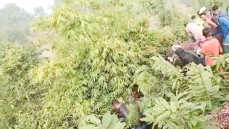 কুমিল্লায় শিশু ও বৃদ্ধার মরদেহ উদ্ধার