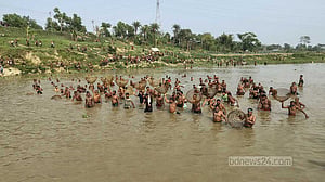 গোমতীতে পলো দিয়ে মাছ ধরার উৎসব