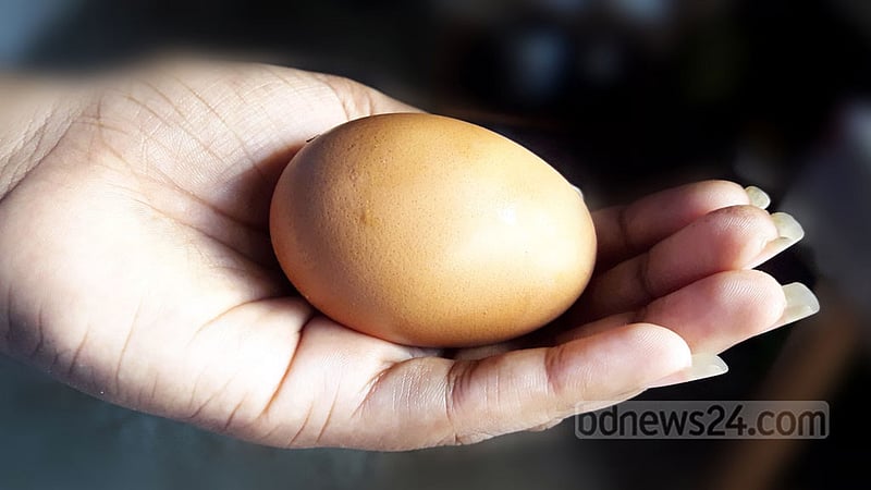 ত্বক পরিচর্যায় ডিমের সাদা অংশ