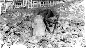 দেশের একমাত্র শহীদ মিনার, যার নিচে গণকবর