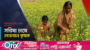 কুড়িগ্রামে বাড়ছে সরিষার আবাদ