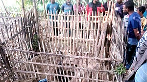 কুষ্টিয়ায় কবর থেকে দাদী-নাতীর লাশ চুরি, ভুট্টাক্ষেতে মিলল হাড়ের টুকরা