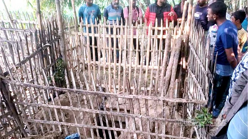 কুষ্টিয়ায় কবর থেকে দাদী-নাতীর লাশ চুরি, ভুট্টাক্ষেতে মিলল হাড়ের টুকরা