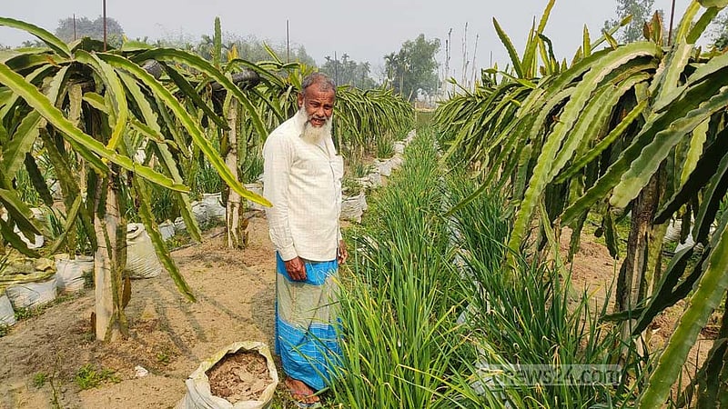 বস্তায় বাড়ছে রসুন, সবুজ পাতায় দোলে আব্দুল্লাহর হাসি