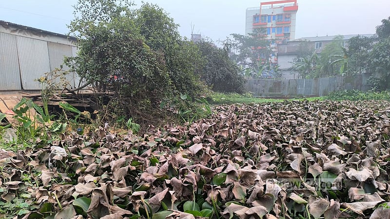 মাদারীপুরে আবর্জনায় ভরাট ‘ভূঁইয়ার মাঠ’, ভোগান্তিতে এলাকাবাসী