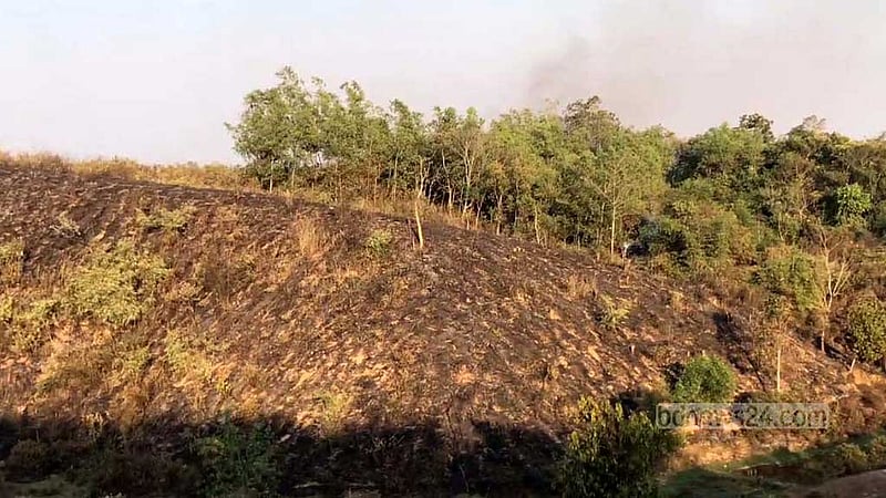 লাউয়াছড়া জাতীয় উদ্যানে আগুন, পুড়ে গেছে ২ একর বনাঞ্চল
