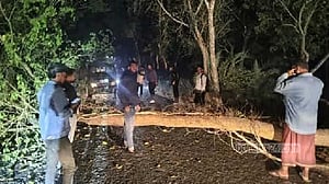 নওগাঁয় গাছ ফেলে বিআরটিসি বাসে ডাকাতি