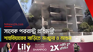 সাবেক পররাষ্ট্র প্রতিমন্ত্রী শাহরিয়ার আলমের বাড়িতে ভাঙচুর ও অগ্নিসংযোগ