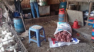 সাভারে মরা মুরগি বিক্রি, লাখ টাকা জরিমানা