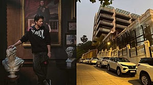 শাহরুখের পার্টিতে কী কী হয়?