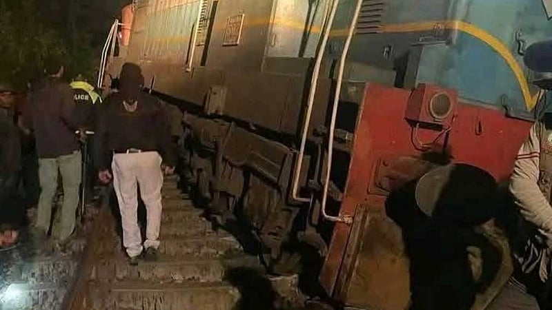 শ্রীলঙ্কায় ট্রেনের ধাক্কায় ৬ হাতির মৃত্যু, ট্রেন লাইনচ্যুত