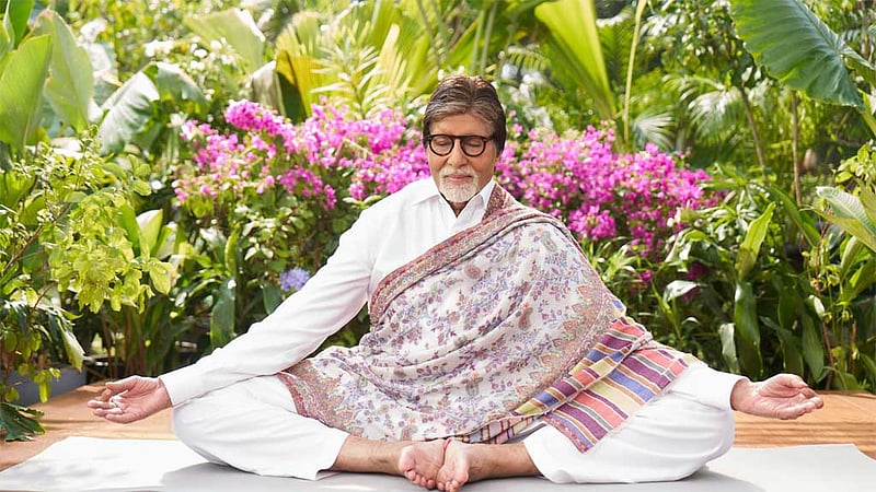 তুলসী পাতার রস দিয়ে দিন শুরু অমিতাভের, ফিটনেস দিয়েছে ‘প্রাণায়ম’