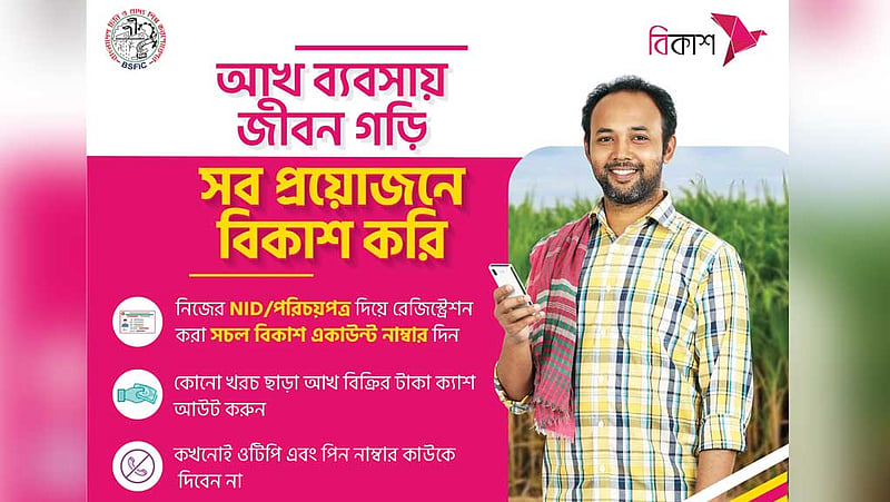 বিকাশে অর্থ পরিশোধে ‘আখ চাষে আগ্রহ বাড়ছে চাষিদের’