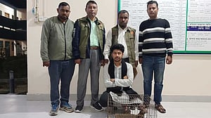 ফেইসবুকে বিজ্ঞাপন দিয়ে চিতা বিড়াল বিক্রির দরদাম, গ্রেপ্তার ১