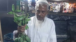 টেকনাফ বাজারে অসময়ে কাঁচা আম, কেজি ৫৫০ টাকা