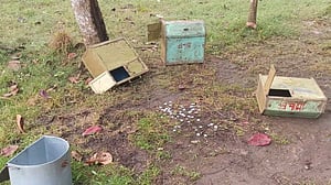 হাটহাজারীতে এক রাতে ৪ মন্দিরে চুরি, দুটিতে ‘চুরির চেষ্টা’