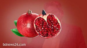 ‘ডালিম পাকিলে এমনি ফাটিয়া যায়’