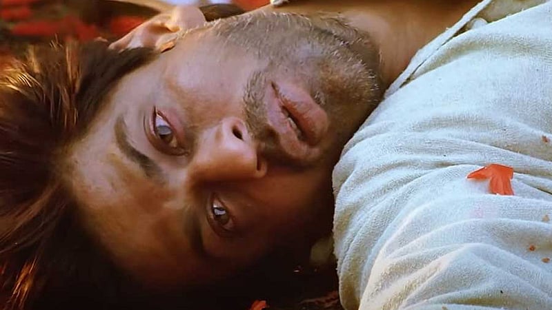 ‘মাছি টানতে’ মুখে মধু মেখেছিলেন শাহরুখ