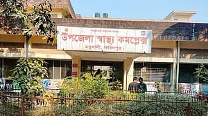 ফরিদপুরে মৌমাছির কামড়ে যুবকের মৃত্যু, আহত ১৬