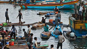 মাছের জন্য লড়াই: শ্রীলঙ্কার জলসীমায় ‘বন্দি হচ্ছেন’ ভারতীয় জেলেরা