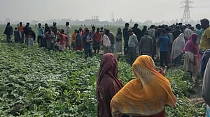 বাড়ি থেকে বেরিয়ে নিখোঁজ, আলু ক্ষেতে মিলল লাশ