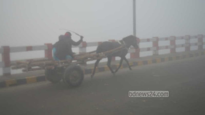 মাঘের শীতে কাঁপছে কুড়িগ্রাম