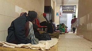 লালমনিরহাটে শিয়ালের আক্রমণে দুই দিনে ৯ জন আহত