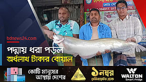 বরশিতে ধরা পড়ল ১৬ কেজির বোয়াল