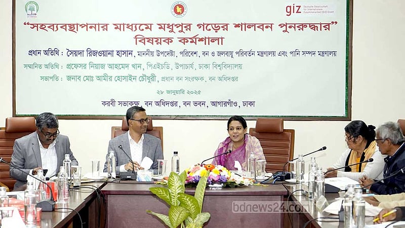 শালবন উদ্ধার কার্যক্রম শুরু মার্চ থেকে: পরিবেশ উপদেষ্টা