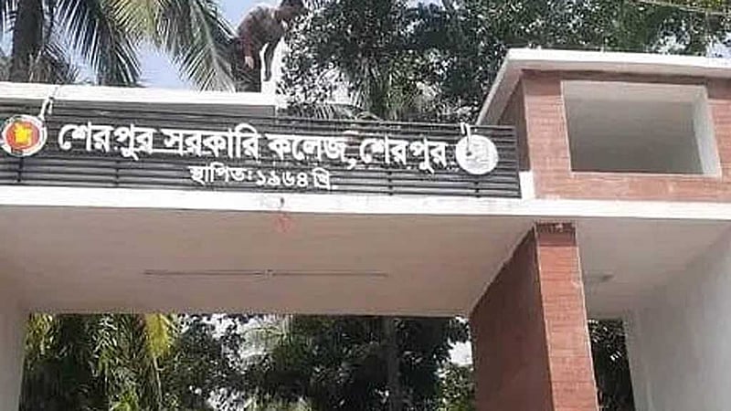শেরপুরে এক কলেজ থেকে মেডিকেলে ভর্তির সুযোগ পেলেন ২১ শিক্ষার্থী