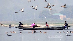 ‘মানুষের উৎপাতে’ পাখি নেই টাঙ্গুয়ার হাওরে