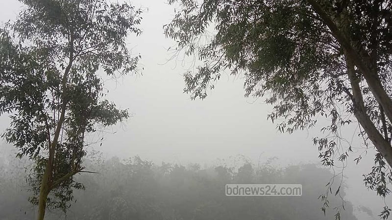 সর্বনিম্ন তাপমাত্রায় কাঁপছে তেঁতুলিয়া, শৈত্যপ্রবাহ ১০ জেলায়