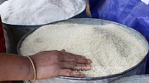 খাদ্যবান্ধব কর্মসূচি: ৩০ কেজি করে চাল পাবে ৫৫ লাখ পরিবার