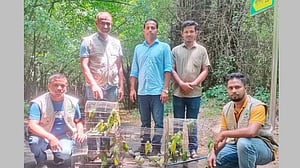 মিরপুরে পাখির হাট থেকে ৬৩ প্রাণী উদ্ধার