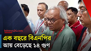 ২০২৪ সালে বিএনপির রেকর্ড আয়, উৎস কী