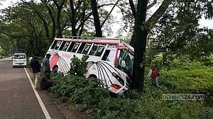 বরিশালে বাসের চাপায় বেদে নিহত