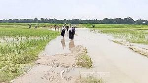চাঁপাইনবাবগঞ্জে বেহাল সড়কে ধানের চারা লাগিয়ে বিক্ষোভ