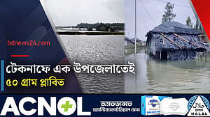 টানা বৃষ্টিতে প্লাবিত টেকনাফের অর্ধশত গ্রাম