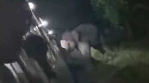 হাতি ট্রেনে ধাক্কা দিল কেন?