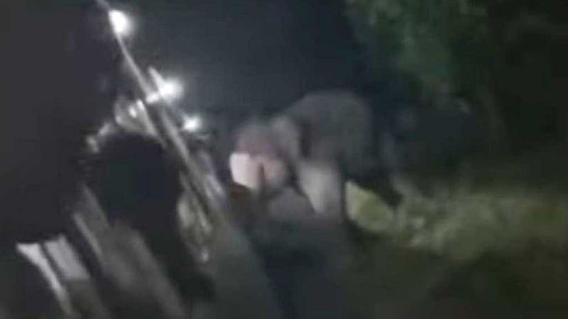 হাতি ট্রেনে ধাক্কা দিল কেন?