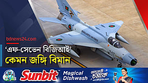 মাইলস্টোনে বিধ্বস্ত যুদ্ধবিমানটি আসলে কেমন?