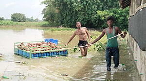 ফেনীতে এখনো পানিবন্দি প্রায় ৭ হাজার পরিবার