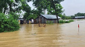 ফেনীর বন্যা: রান্নাঘরে সাপের কামড়ে গৃহবধূর মৃত্যু